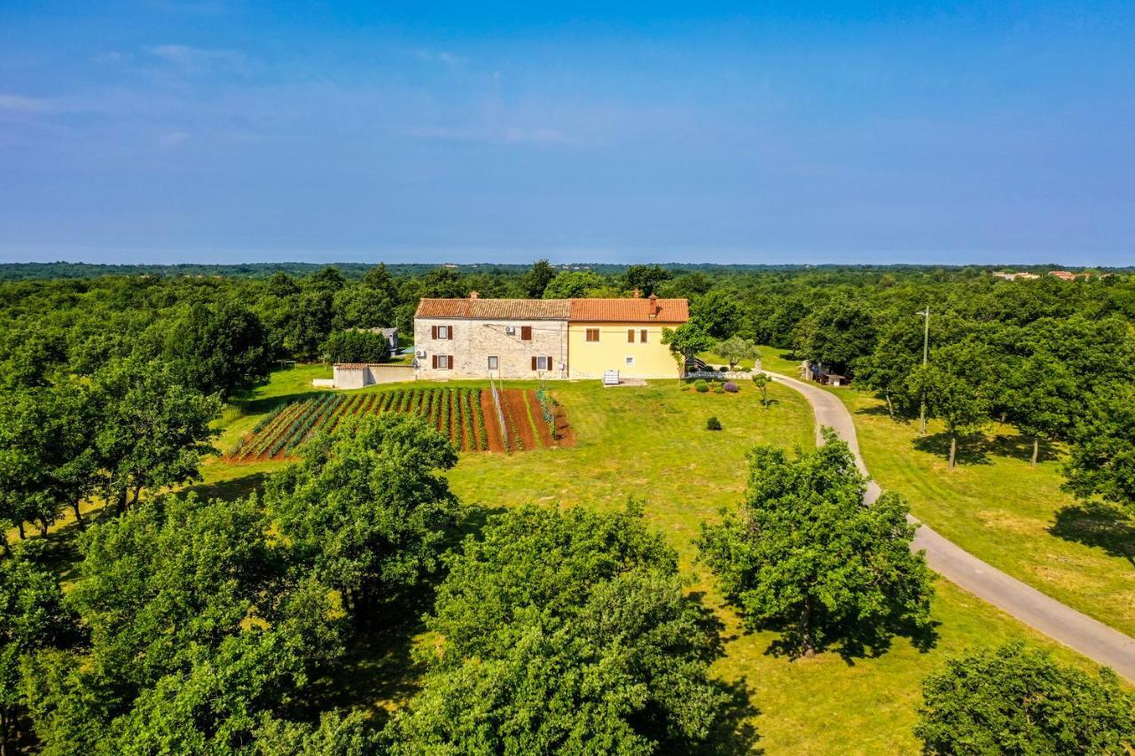 House Gracijela, Village Bulici Šajini Exterior foto